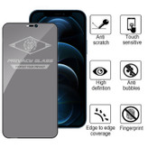 محافظ صفحه نمایش حریم شخصی اپیکوی مدل PvSight مناسب برای گوشی موبایل اپل iPhone 12 Pro Max