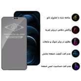محافظ صفحه نمایش حریم شخصی اپیکوی مدل PvSight مناسب برای گوشی موبایل اپل iPhone 12 Pro Max