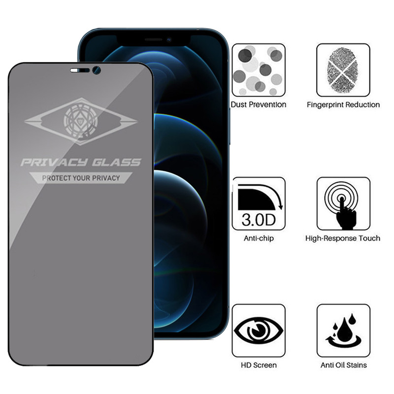محافظ صفحه نمایش حریم شخصی اپیکوی مدل PvSight مناسب برای گوشی موبایل اپل iPhone 12 Pro Max